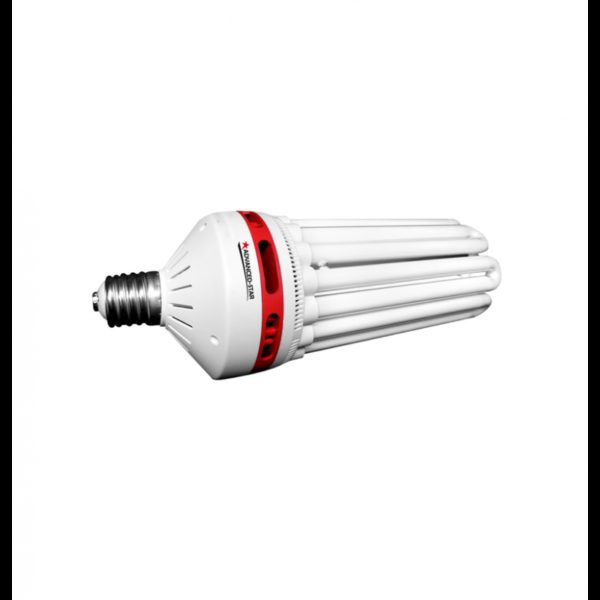 CFL eco star floraison 8U-200W 2700K