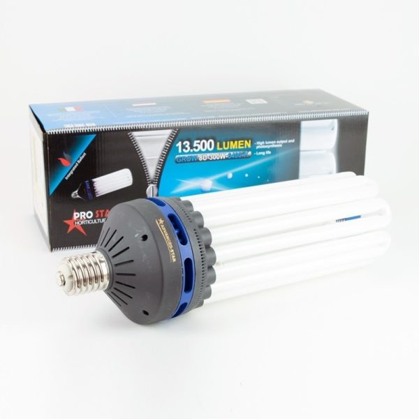 Pro Star CFL 200W- 6400K