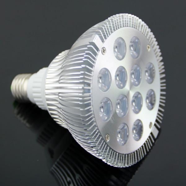 Led 24W