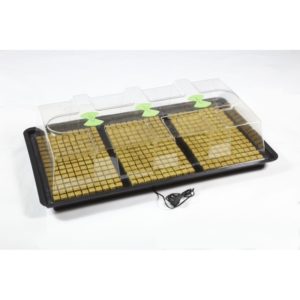 X-Stream Heat Propagator Large