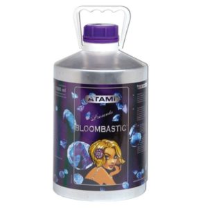 Bloombastic, 5.5l., Atami