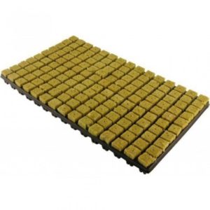 Grodan plateau a semis / boutures Carton, 18 Tray de 150 plug