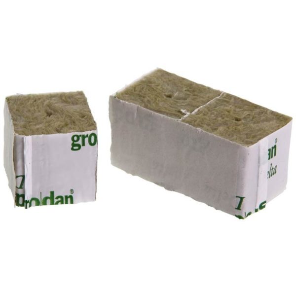 Grodan cube de culture