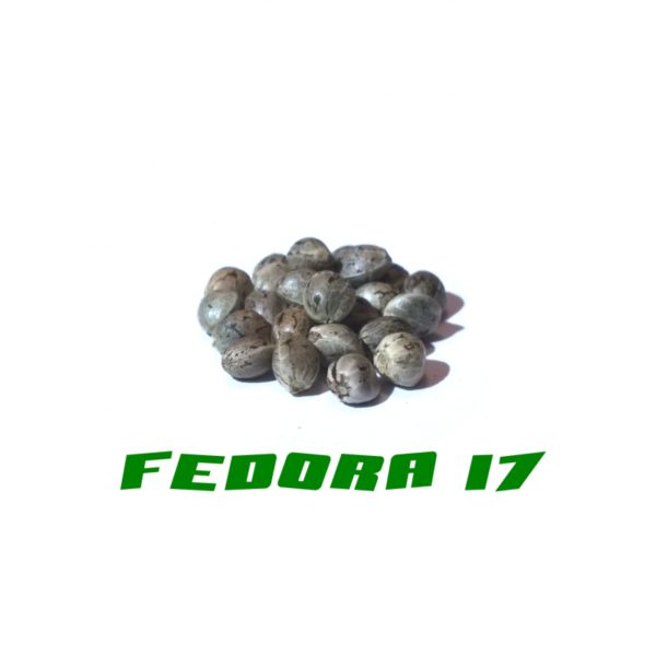 Fedora 17 Gardinova 25Pcs