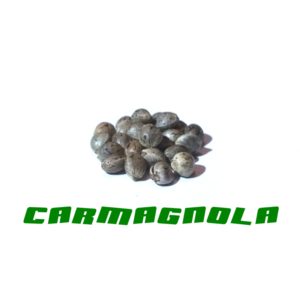 Carmagola Gardinova 25Pcs