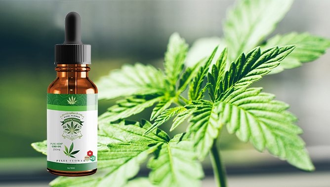   Online store of Swiss legal medical Cbd. 